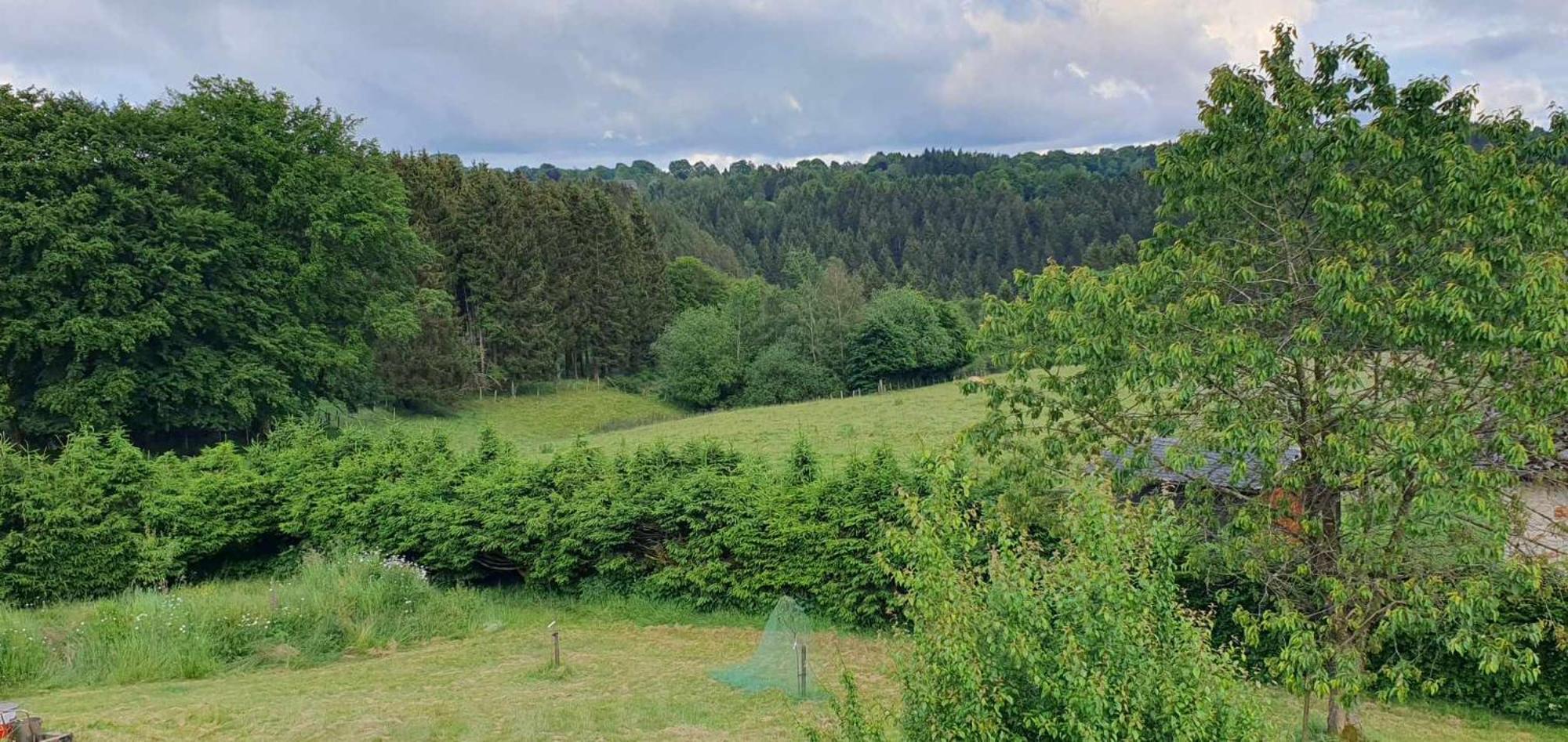Apartament Au Coin De La Cascade Longfaye Zewnętrze zdjęcie